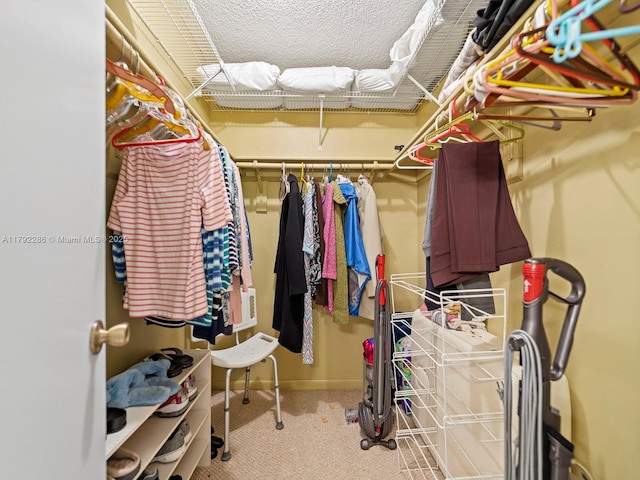 1300 SW 122nd Ave Unit 303-2, Miami, FL 33184 - spacious closet featuring carpet flooring
