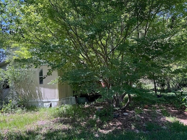3725 SW 162nd St, Gainesville, FL 32618 - view of yard