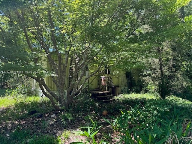 3725 SW 162nd St, Gainesville, FL 32618 - view of undeveloped land