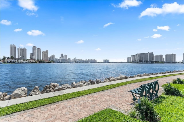 view of water feature with a city view