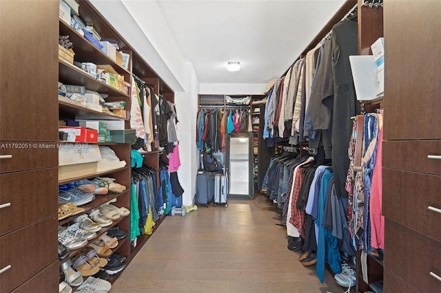 spacious closet featuring wood finished floors