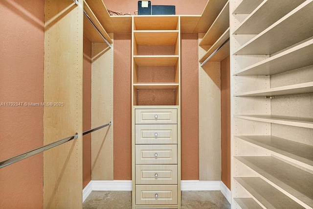 view of spacious closet