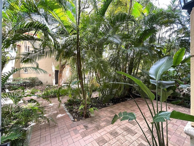 888 S Douglas Rd Unit 119, Coral Gables, FL 33134 - view of patio