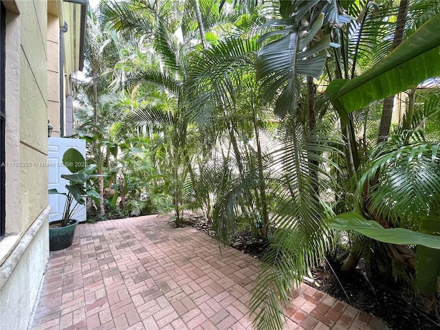 888 S Douglas Rd Unit 119, Coral Gables, FL 33134 - view of patio / terrace