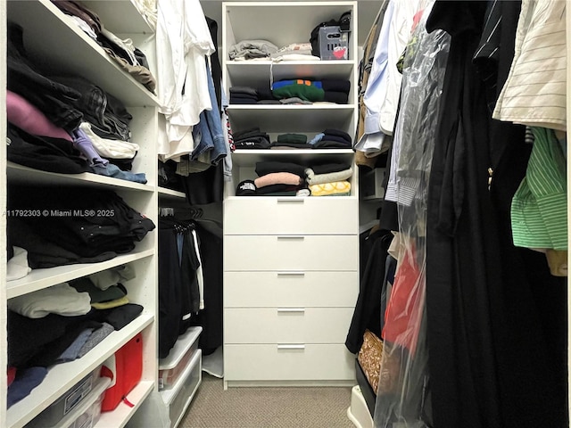 888 S Douglas Rd Unit 119, Coral Gables, FL 33134 - spacious closet with carpet floors