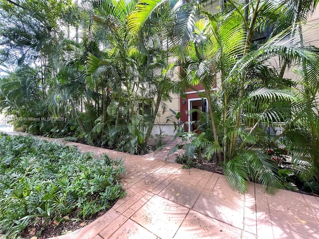 888 S Douglas Rd Unit 119, Coral Gables, FL 33134 - view of patio / terrace
