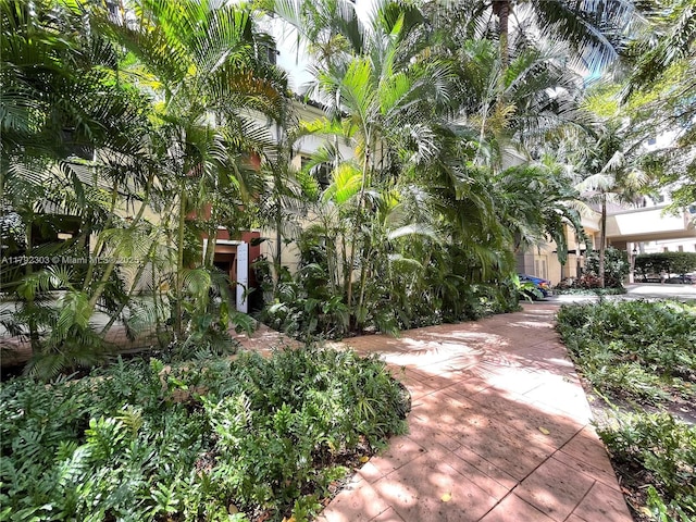 888 S Douglas Rd Unit 119, Coral Gables, FL 33134 - view of community