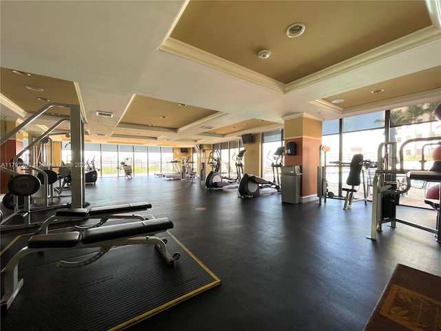 888 S Douglas Rd Unit 119, Coral Gables, FL 33134 - workout area with a tray ceiling and ornamental molding