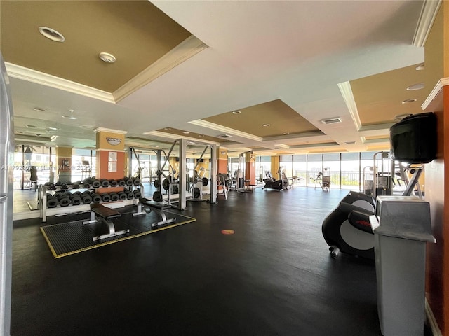 888 S Douglas Rd Unit 119, Coral Gables, FL 33134 - gym featuring a raised ceiling and crown molding