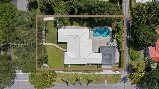 bird's eye view