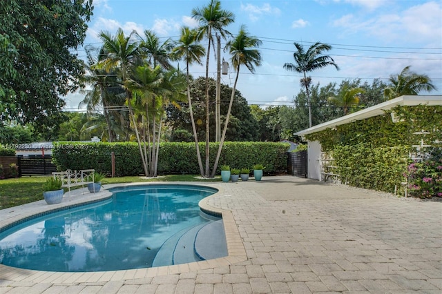 view of swimming pool featuring a fenced backyard, a fenced in pool, and a patio area