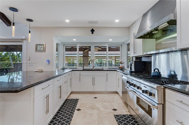 kitchen with a sink, plenty of natural light, exhaust hood, and high end stove