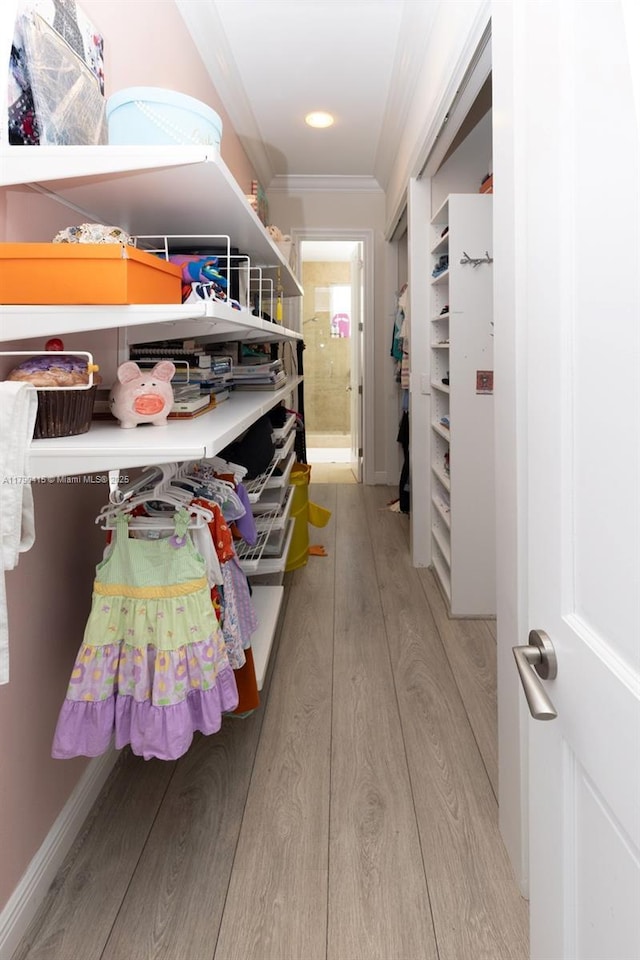 walk in closet featuring light wood finished floors