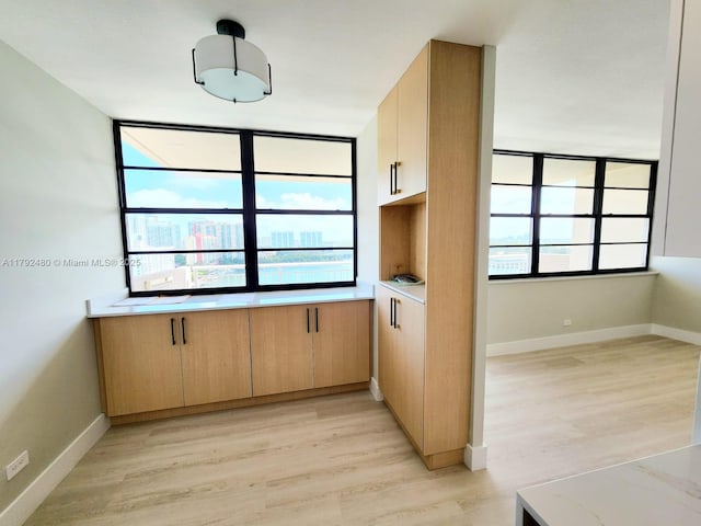 interior space with baseboards and light wood-style floors