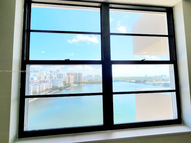 details featuring a view of city and a water view