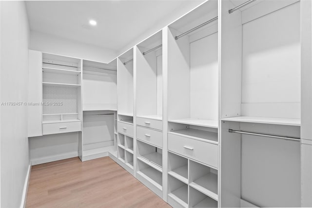 walk in closet featuring light wood-style flooring