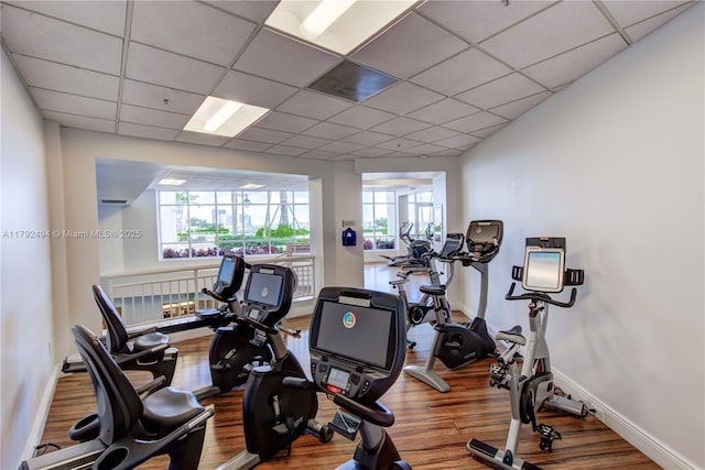 808 Brickell Key Dr Unit 3007, Miami, FL 33131 - exercise room with wood finished floors, plenty of natural light, baseboards, and a drop ceiling