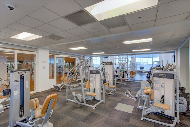 808 Brickell Key Dr Unit 3007, Miami, FL 33131 - exercise room with carpet floors and a paneled ceiling