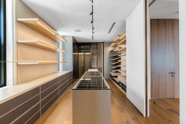 11404 N Bayshore Dr, North Miami, FL 33181 - walk in closet with light wood-style flooring