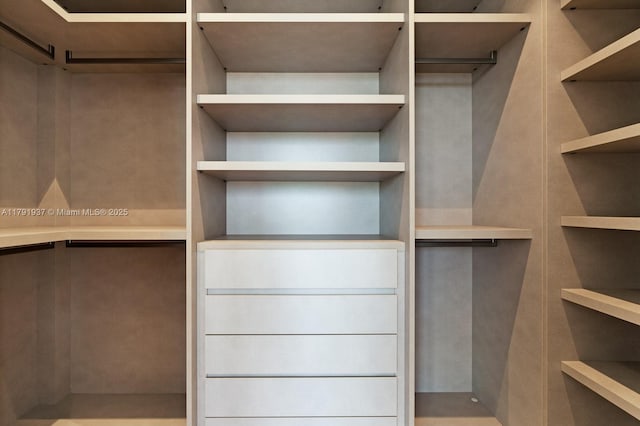11404 N Bayshore Dr, North Miami, FL 33181 - view of walk in closet