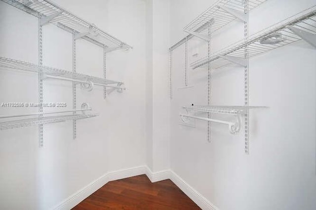 7280 SW 90th St Unit 703, Miami, FL 33156 - walk in closet featuring wood finished floors