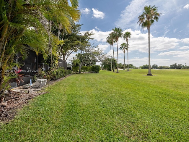 view of yard