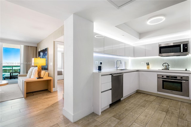 kitchen featuring light wood-style floors, modern cabinets, stainless steel appliances, and a sink