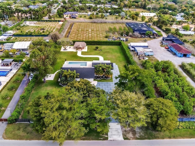 drone / aerial view