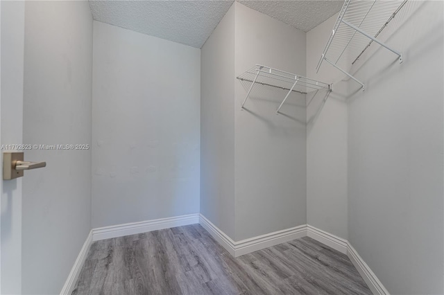 walk in closet with wood finished floors