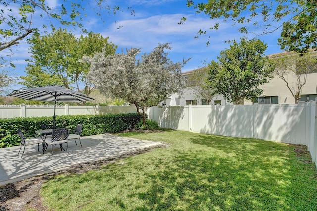 view of yard with a fenced backyard and a patio