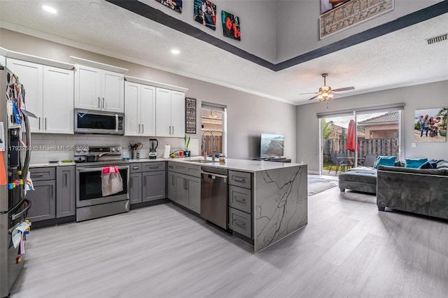 kitchen featuring a sink, stainless steel appliances, open floor plan, light wood-type flooring, and gray cabinetry