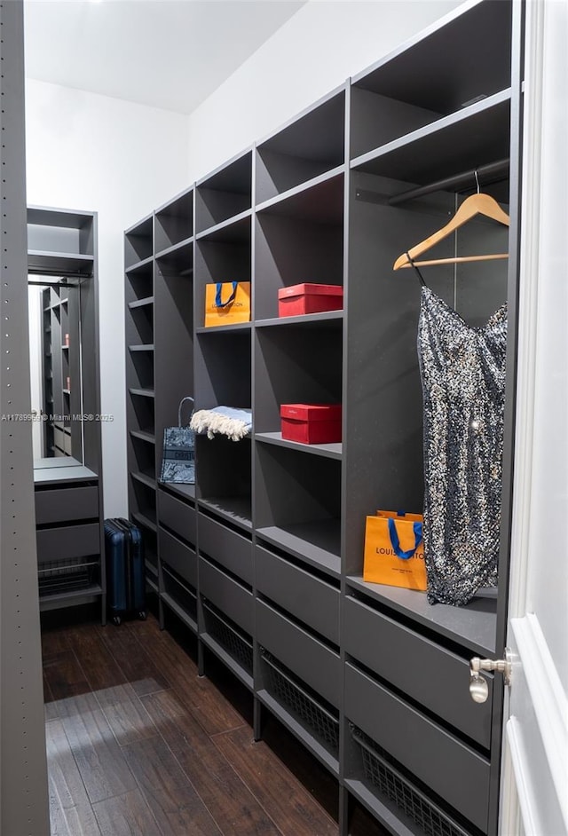 260 NE Wavecrest Ct, Boca Raton, FL 33432 - spacious closet with dark wood-style flooring
