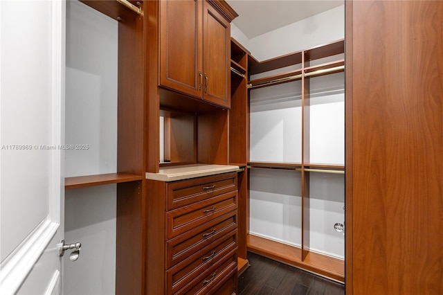 260 NE Wavecrest Ct, Boca Raton, FL 33432 - walk in closet featuring dark wood-style flooring