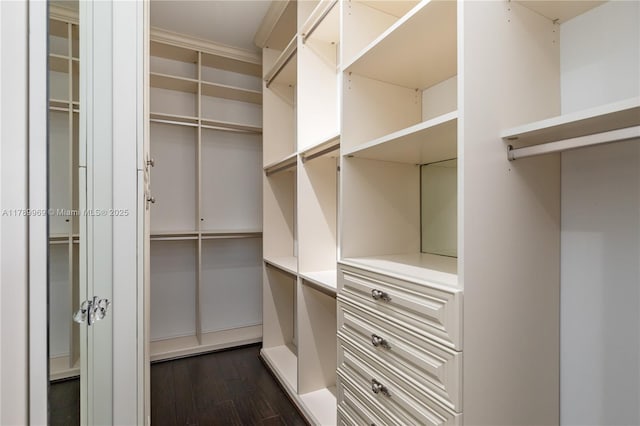 260 NE Wavecrest Ct, Boca Raton, FL 33432 - spacious closet featuring dark wood-type flooring