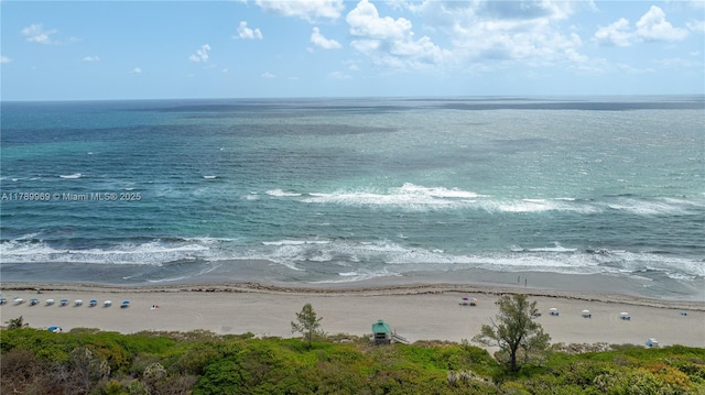 260 NE Wavecrest Ct, Boca Raton, FL 33432 - water view featuring local beach