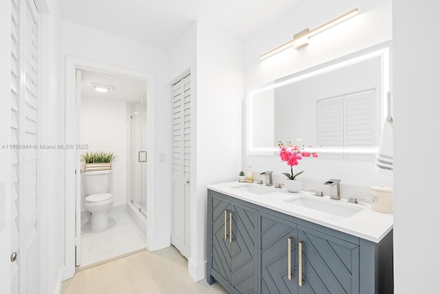 bathroom featuring a sink, a closet, and toilet