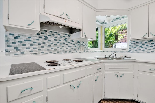 kitchen with a sink, light countertops, decorative backsplash, and under cabinet range hood