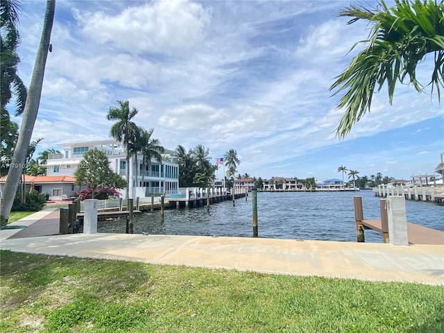 dock area with a water view