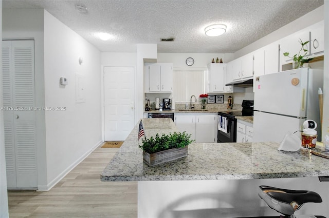 kitchen with electric range, a sink, freestanding refrigerator, a peninsula, and under cabinet range hood