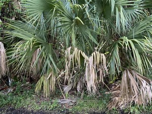 1019 SW Hamrock Ave, Port St Lucie, FL 34953