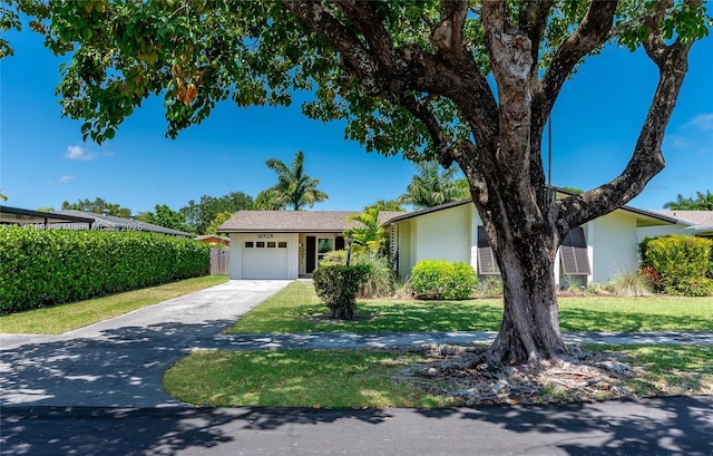 single story home with stucco siding, an attached garage, driveway, and a front lawn