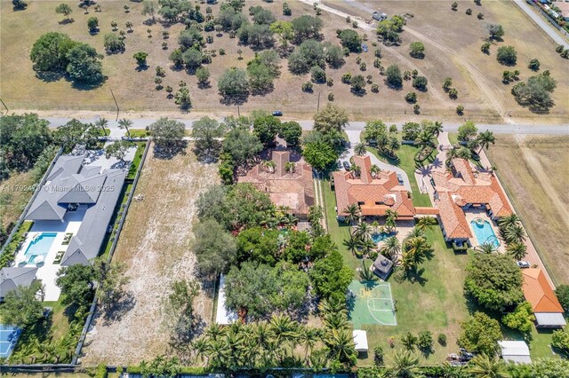 bird's eye view