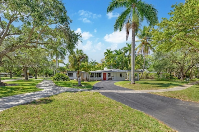 ranch-style house featuring driveway and a front yard