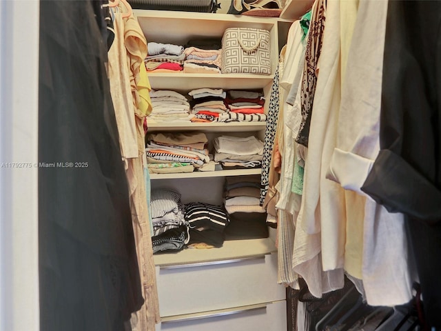 view of closet