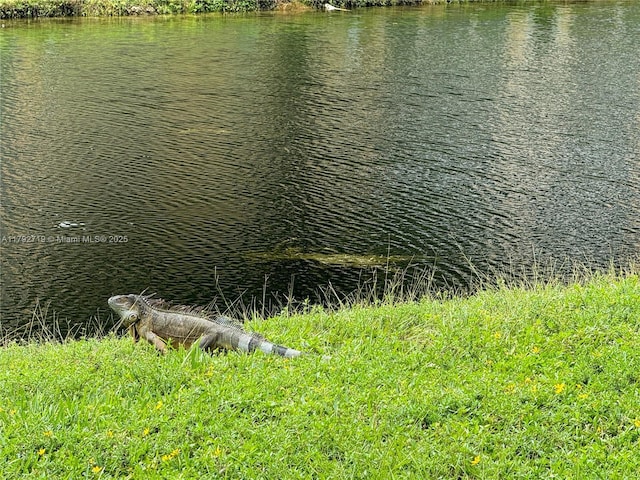 2900 N Pine Island Rd Unit 307, Sunrise, FL 33322 - property view of water