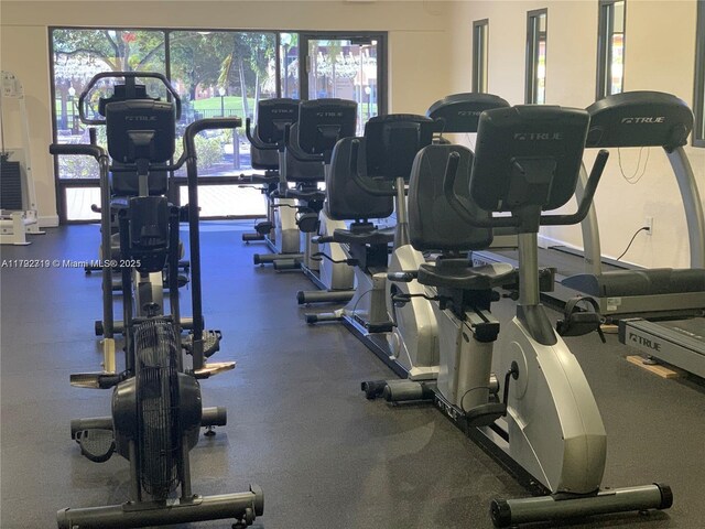 2900 N Pine Island Rd Unit 307, Sunrise, FL 33322 - exercise room with a healthy amount of sunlight