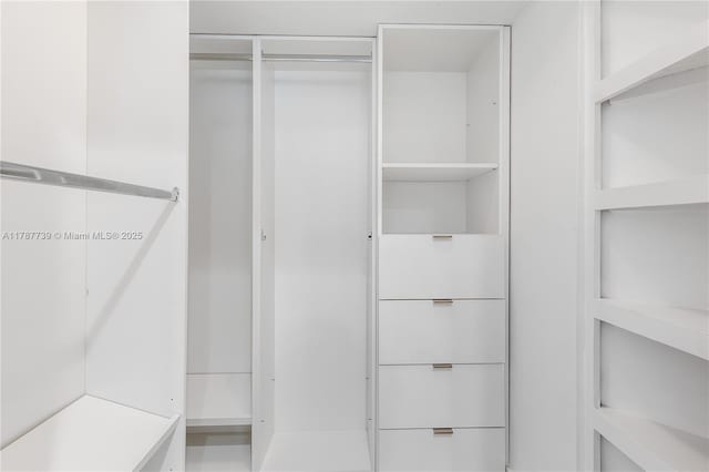 view of spacious closet