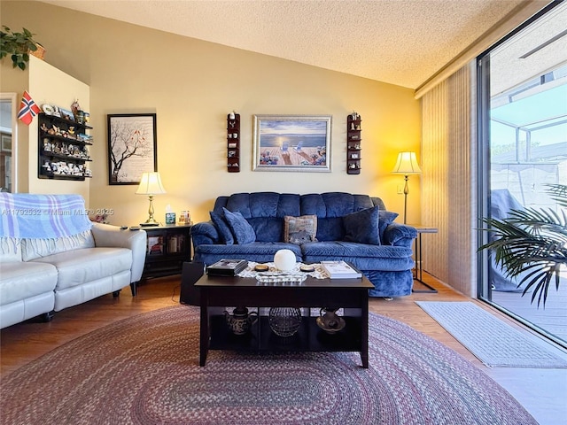 living area with wood finished floors, a textured ceiling, and lofted ceiling
