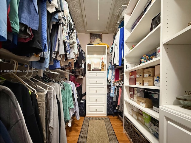walk in closet with attic access and wood finished floors