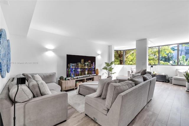 living area featuring light wood finished floors